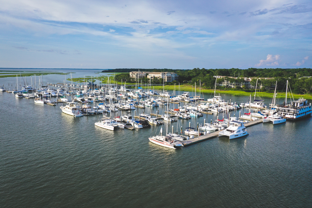 A marina with many rows of boats seen from above.